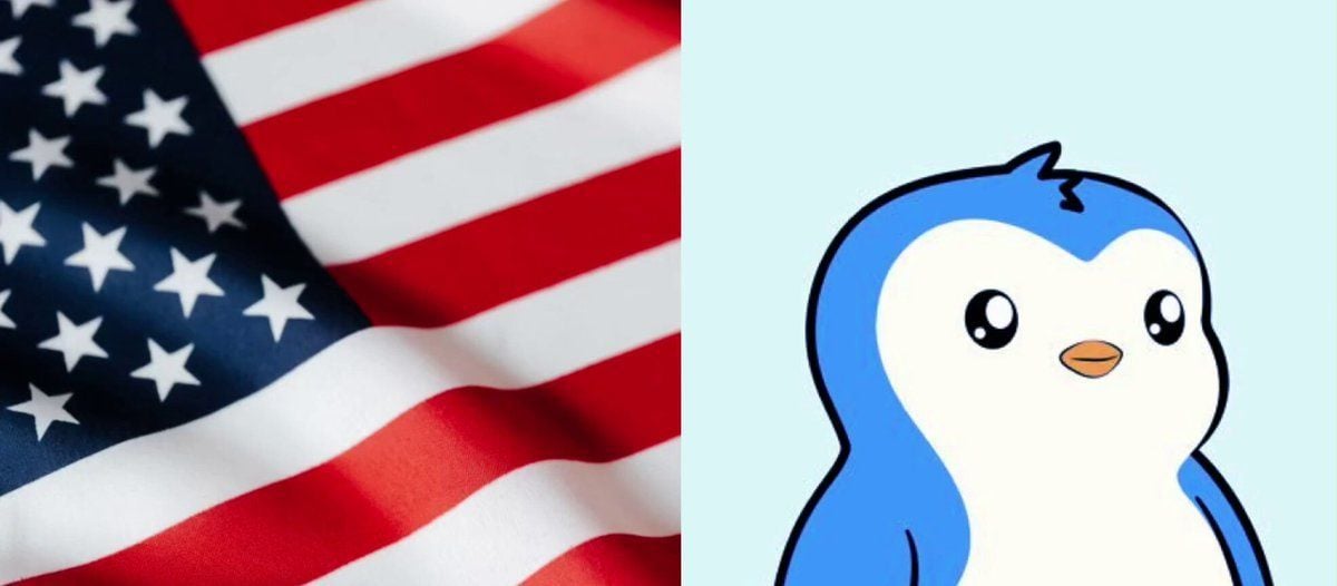 美国银行提供对$PENGU的投资渠道？！