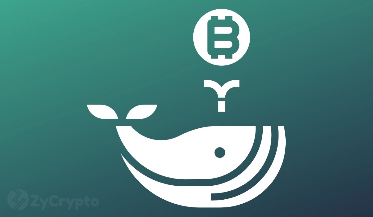 鲸鱼买入推动比特币逼近底部，但Coinbase溢价信号显示需求不足