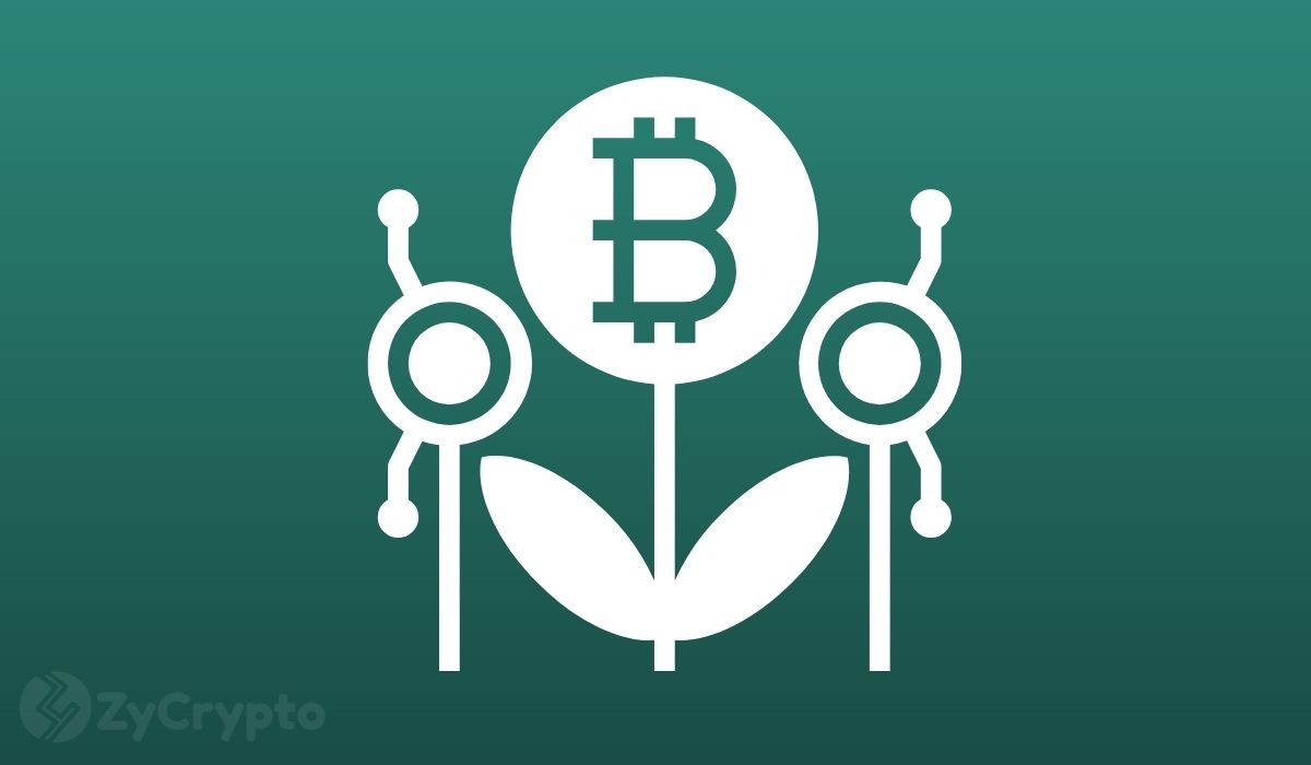 全球资本1%投入比特币将使价格达到约27.5万美元，市场专家揭示